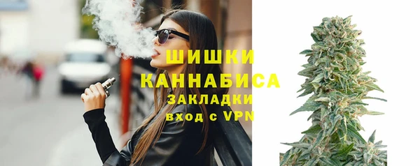 ГАЛЛЮЦИНОГЕННЫЕ ГРИБЫ Липки