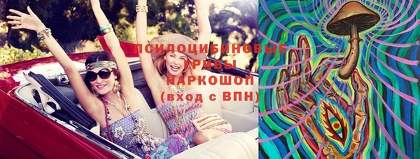 ALPHA PVP Новозыбков