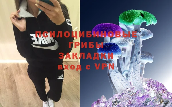 дмт Ленск