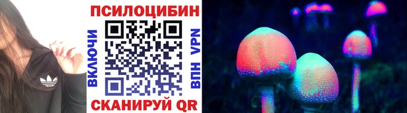 Псилоцибиновые грибы мухоморы  Купино 